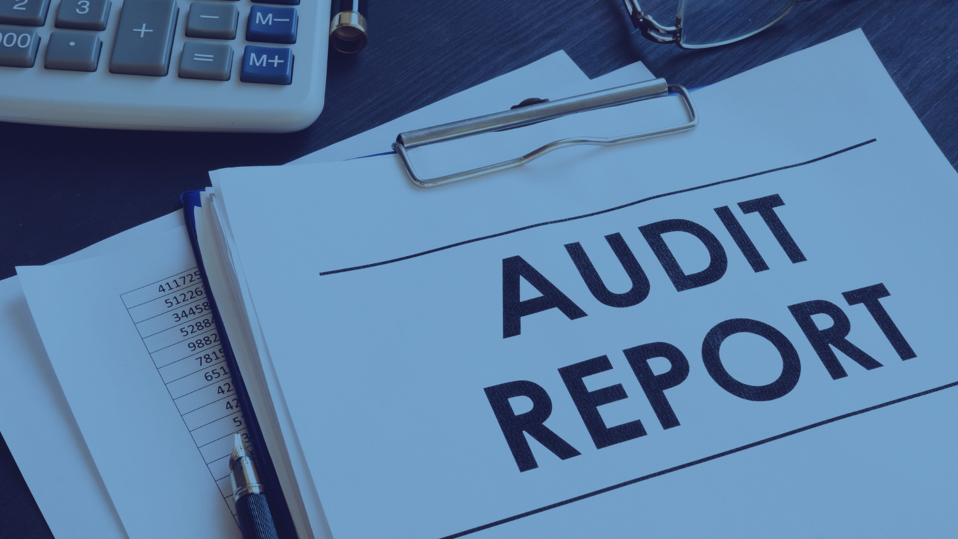 Audit Services