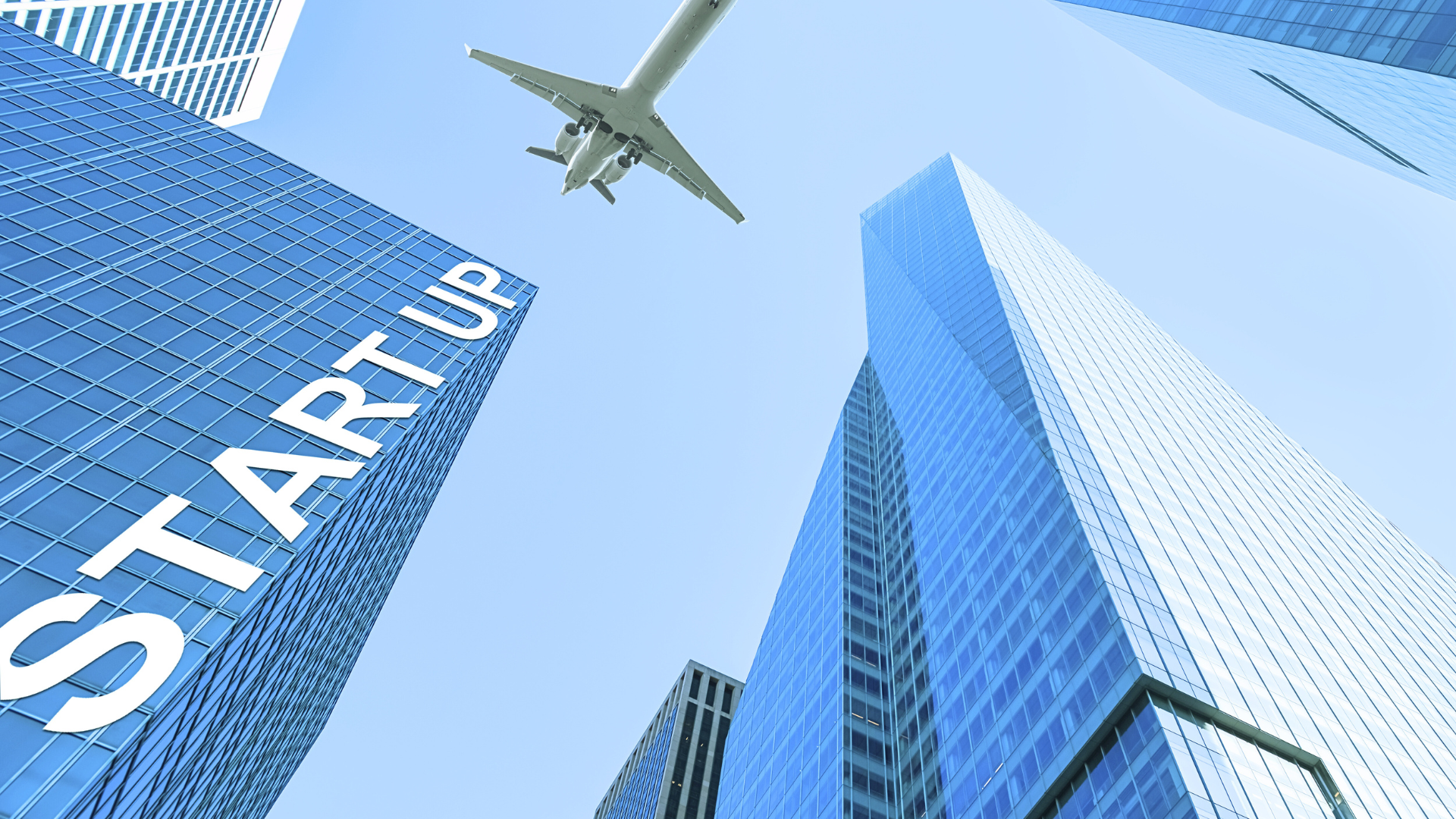 Startup Implementation Services
